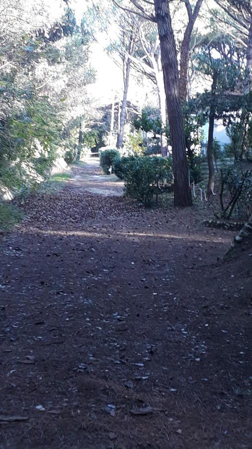 ארקליאה מארה Residence Marco Polo מראה חיצוני תמונה